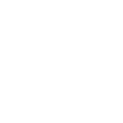 Spotty Logo